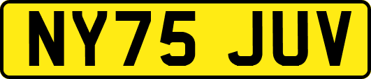 NY75JUV