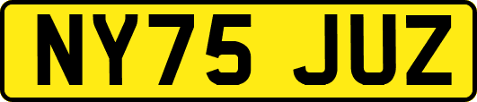 NY75JUZ