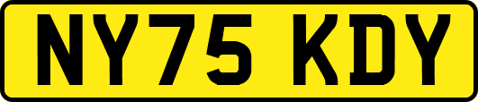 NY75KDY