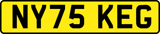 NY75KEG