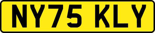NY75KLY