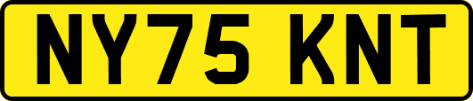 NY75KNT