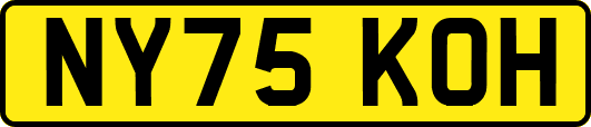 NY75KOH