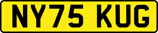 NY75KUG