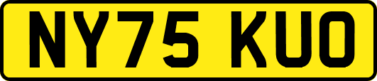 NY75KUO
