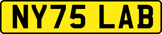 NY75LAB