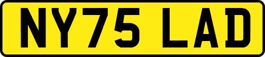 NY75LAD