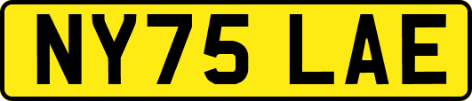 NY75LAE