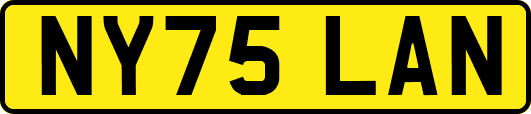 NY75LAN