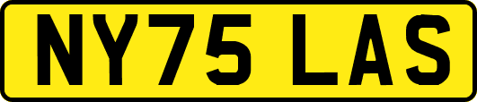 NY75LAS