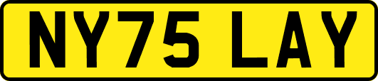NY75LAY
