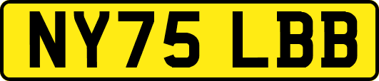 NY75LBB