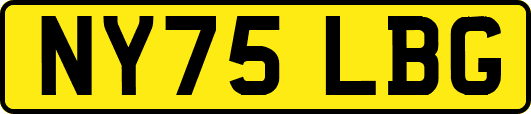 NY75LBG