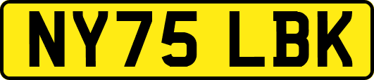 NY75LBK