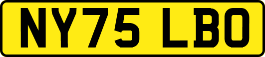 NY75LBO