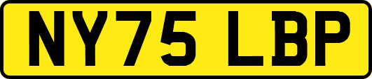 NY75LBP