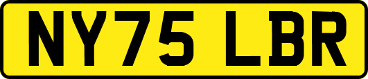 NY75LBR