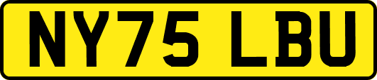 NY75LBU