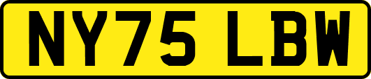 NY75LBW