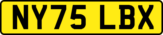 NY75LBX
