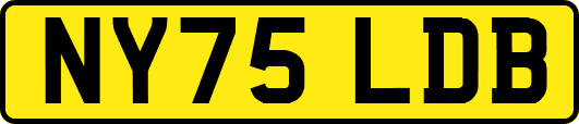 NY75LDB