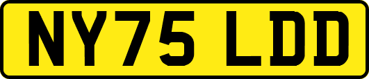 NY75LDD