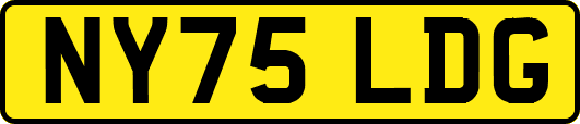 NY75LDG