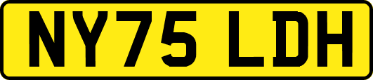 NY75LDH