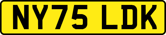 NY75LDK