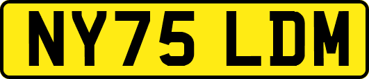 NY75LDM