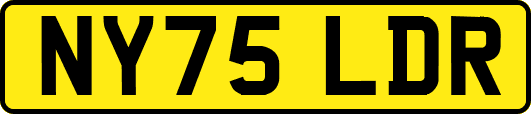 NY75LDR