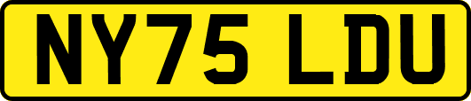 NY75LDU