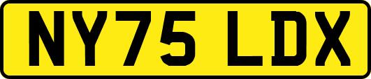 NY75LDX