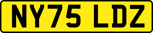 NY75LDZ