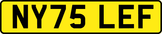 NY75LEF