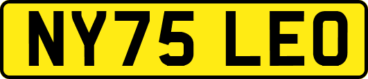 NY75LEO