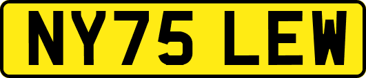 NY75LEW