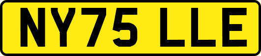 NY75LLE