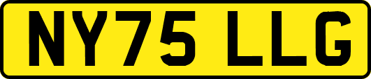 NY75LLG