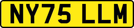 NY75LLM