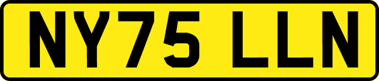 NY75LLN