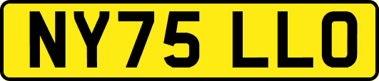 NY75LLO