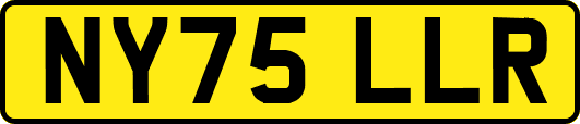 NY75LLR