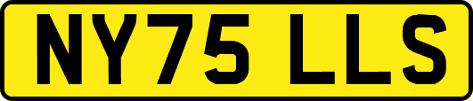 NY75LLS