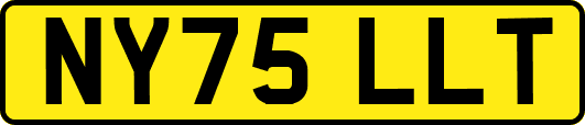 NY75LLT