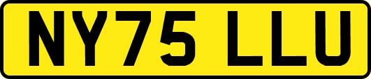 NY75LLU