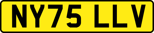 NY75LLV