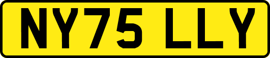 NY75LLY