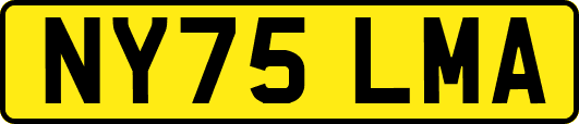 NY75LMA