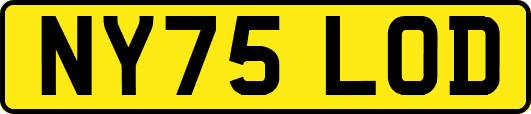 NY75LOD